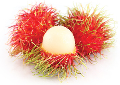 Rambutan